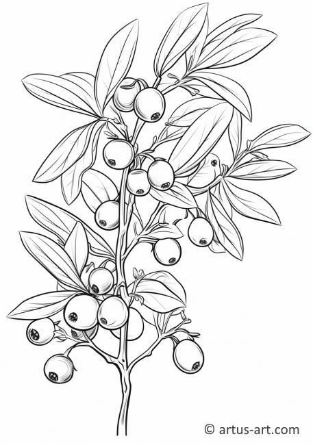 Huckleberrybuske Färgläggningssida